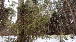 Потерявший-память-бродяга-искал-любую-ра_14