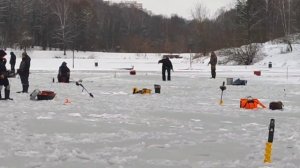 Старый пантон