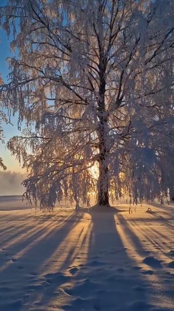 ЗИМНЯЯ ПОГОДА смотреть онлайн