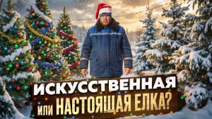 ИСКУССТВЕННАЯ ИЛИ НАСТОЯЩАЯ ЁЛКА