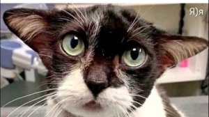 Полным ходом готовимся к встрече Нового года