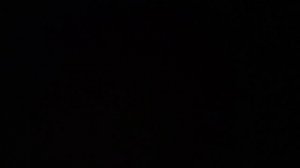 Мы выличели кошку :3