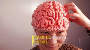 МОЗГ ПОЛЕЗНЫЙ ОРГАН ...
