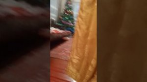 18 часть 3 сезон мягких игрушек, украсили ëлку