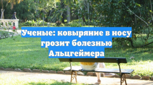 Ученые: ковыряние в носу грозит болезнью Альцгеймера