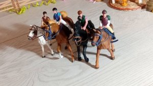 Конкур - награждение (лошади Шляйх, Дарвин)