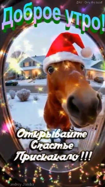 Доброе утро!) Счастливого дня!) #доброеутро смотреть онлайн