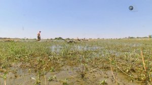 Эд Стаффорд: Голое выживание 3 сезон 3 серия (документальный сериал, 2013)