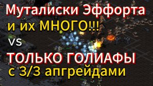 2 ЧЕМПИОНА ASL - Зерг EffOrt с крайне редким ГРЕЙДОМ, и терран Royal с лимитом Голиафов - СУПЕР TvZ