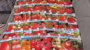 Много семян томатов в подарок на сезон 2026 и другие от Светланы! Какие лучше?