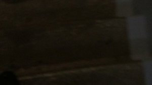 Теорема ЖКХ_Подъезд_2025.12.27_14-55