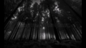 Mr.Kitty - 44 Days (RUS SUB - Lyrics)