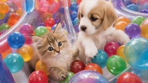 ИИ ЗАЛИПАЛКИ АСМР