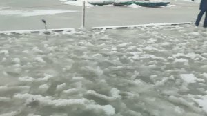 video5368550489677923901