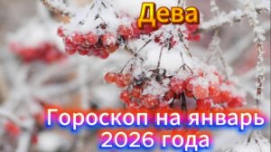Дева! Гороскоп на январь 2026 года!
