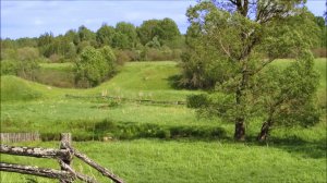 Хозяин заготовил дров