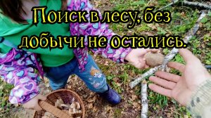 Поиск в лесу, без добычи не остались!