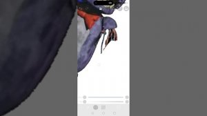 Починил визерд бонни