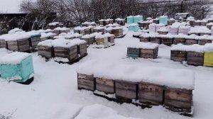 27 декабря,состояние..