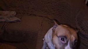 ЗЕНА СКУЧАЕТ...