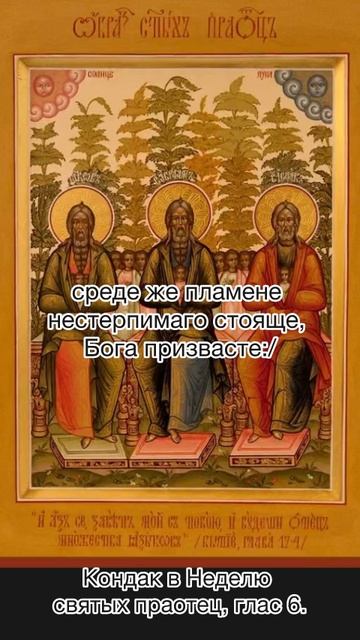 Кондак в Неделю святых праотец, глас 6, 28 декабря по н.ст. смотреть онлайн