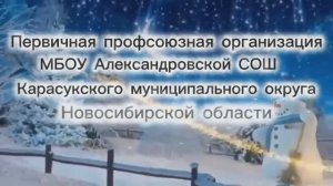 ППО МБОУ Александровской СОШ - новый год 2025