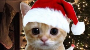 с наступающим новым годом 🎄🎄🎄🎄🎄🎄🎄