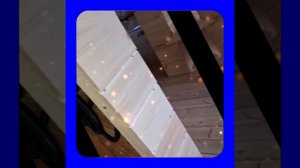 1000043678.mp4 (Собака смотрит на итоги монтажа электропроводки в доме А-фрейм)