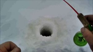 ловля плотвиц в старице оби, печальный улов