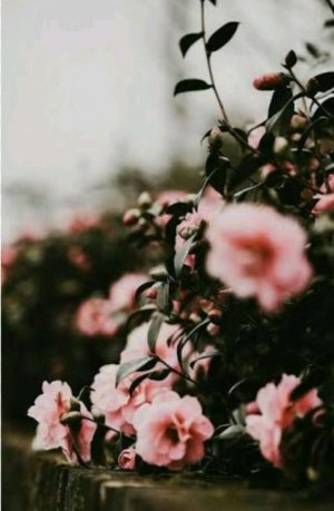 Эфир лдв.Проверяю 10 человек моих подписчиков И подписчиц🦋♥️☺️