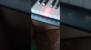 VID_20251227_142339.mp4