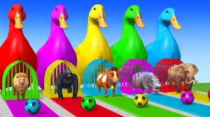 Веселые игры с слоном, гориллой, бегемотом, тигром - 3D игра с животными - Забавные 3D животные