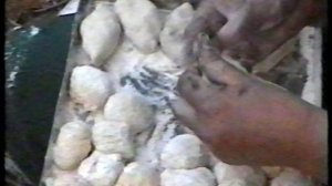 Путешествие по Катуйкану.ч.2. Ксантипа видео. 2004г. предоставлено Александрой Марчук