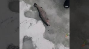 YouCut_20251227_093042622.mp4