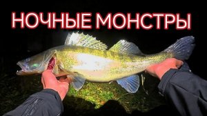 НОЧНОЙ СУДАК НА ВОБЛЕР. ПОЙМАЛ ТРОФЕЙ. ПОИМКИ СЕЗОНА 2025. КАНАЛ ИМЕНИ МОСКВЫ
