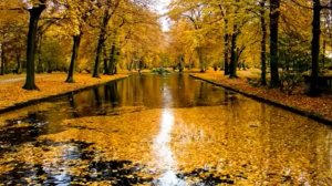 Классическая Музыка для Учебы и Работы Релаксирующая Музыка для Души