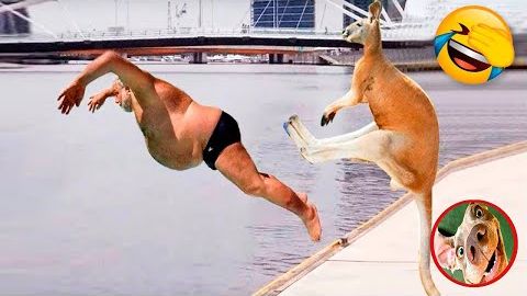 ПОЛНЫЕ ИДИОТЫ НА РАБОТЕ ЛУЧШЕЕ ЗА 2025 смотреть онлайн