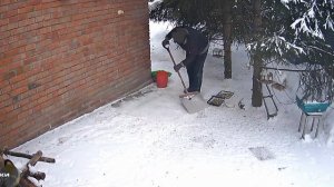 утренняя уборка зоопарка