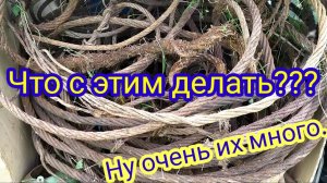 МЕТАЛЛОКОП!!! СКОЛЬКО МОЖНО ЗАРАБОТАТЬ на МЕТАЛЛИЧЕСКИХ ТРОСАХ???