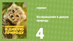 Возвращение в дикую природу 1 сезон 4 серия (документальный сериал, 2025)