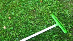 Влад и Ники играют с Волшебным колесом! Видео для детей!