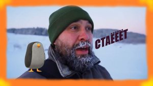 ЗАИМККА НА УРАЛЕ - СТАЁТ