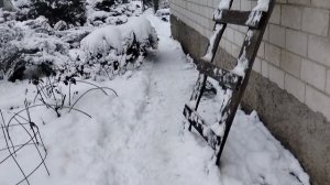 Предновогоднее настроение и планы на НГ .Хвостики получили подарки.