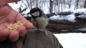 Снег в парке. Зарисовка