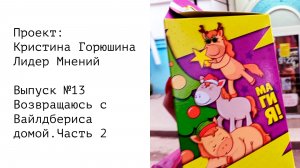 Возвращаюсь с Вайлдбериса домой • Часть 2 • Выпуск №13 • Проект: Кристина Горюшина Лидер Мнений