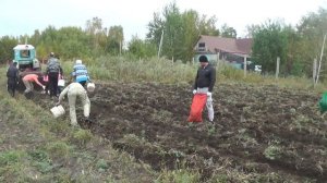 Уборка картофеля.mp4
