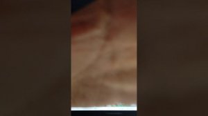 VID_20251226_230343.mp4