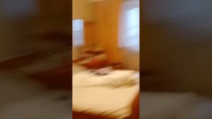 в гостях у лп