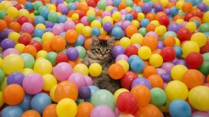 МУЛЬТИК ДЕТЯМ . МУЛЬТФИЛЬМ ДЛЯ ДЕТЕЙ. ДЕТЯМ