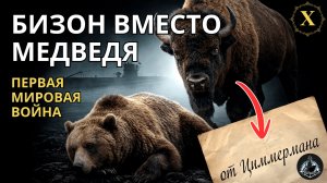 Бизон вместо медведя. Весна 1917г, медицина в ПМВ ч.10